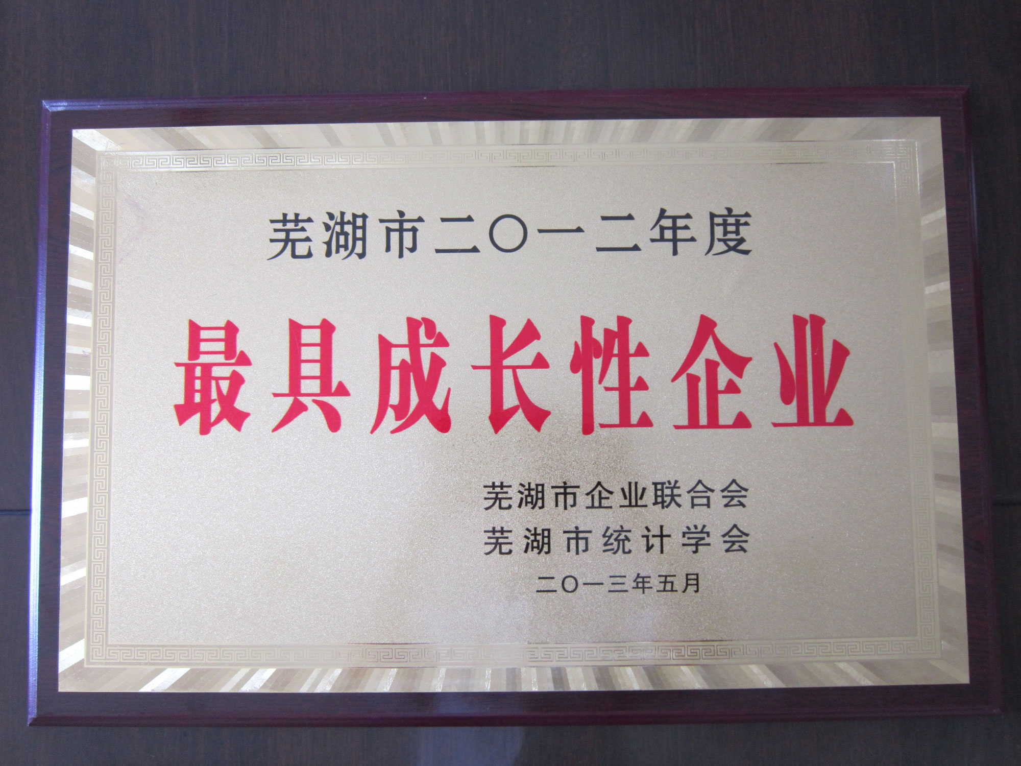 芜湖市最具成长性企业