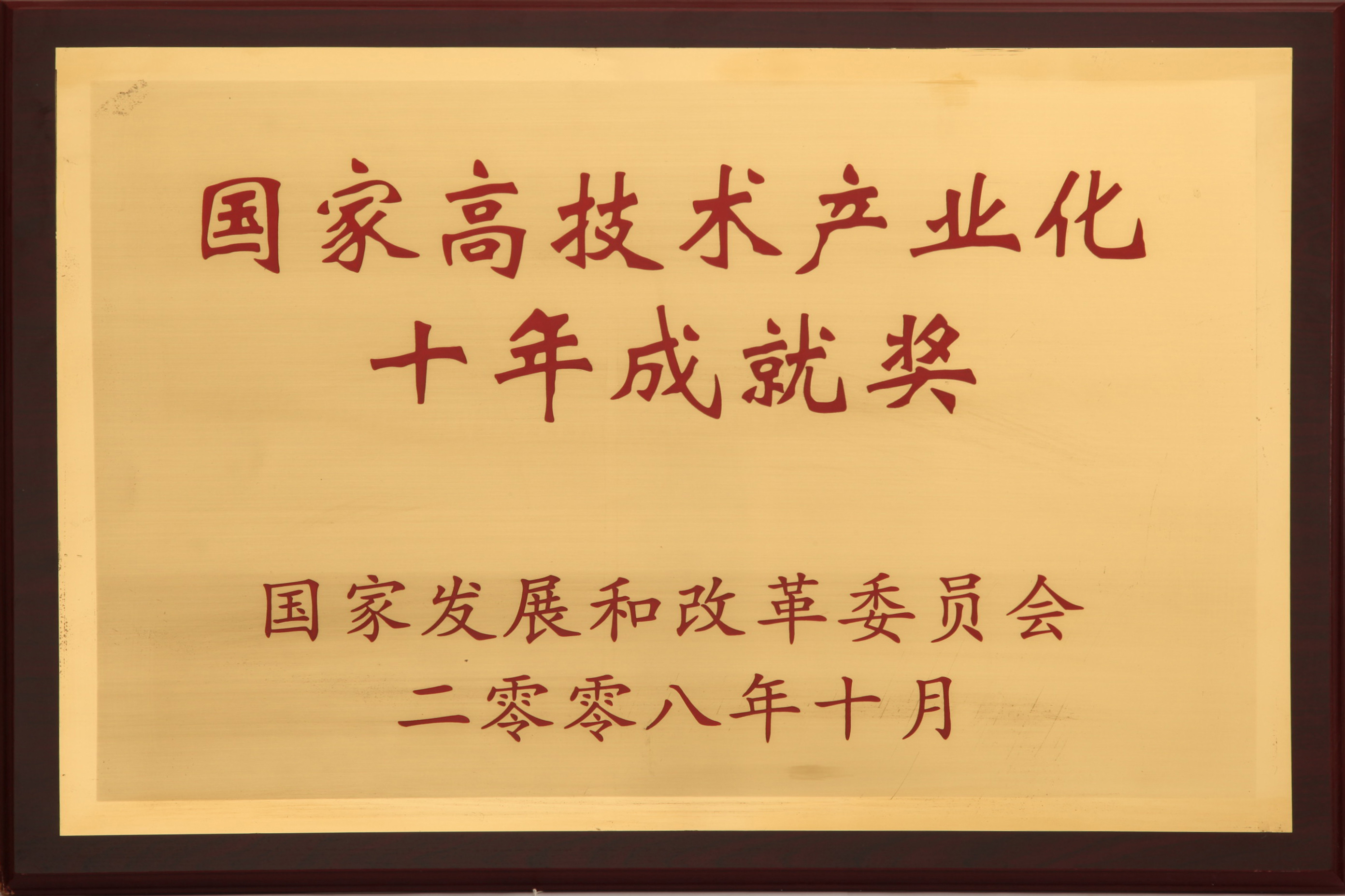 国家高技术产业化十年成就奖